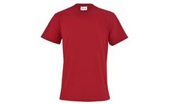 Mens Vital 160 V-Neck T-Shirt - Red
