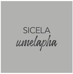 Cygni Zulu Square Laminated Anti-Slip Floor Vinyl (Set of 8)