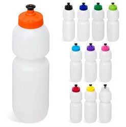 Alpine Water Bottle - 800ml