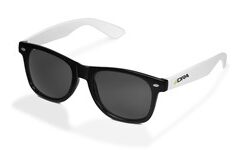 SunnyVale Sunglasses