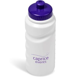 Annex Plastic Water Bottle - 500ml - Purple | P